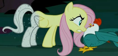 MLPFIM fluttershy vs. cockatrice