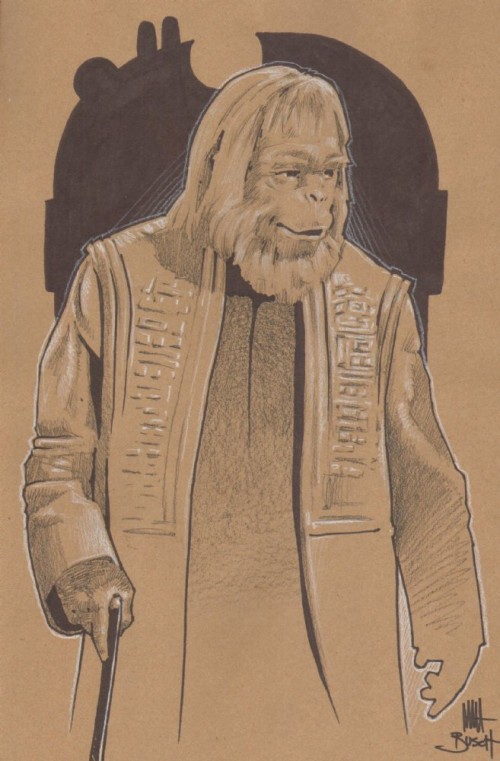 cotpota zaius