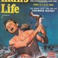 man’s life with weasels