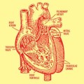 heart thumbnail
