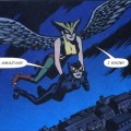 catwoman hawkgirl