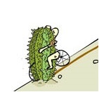 Flash Ghetto Network