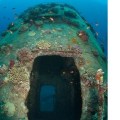 Red Sea Shipwreck Gianiss