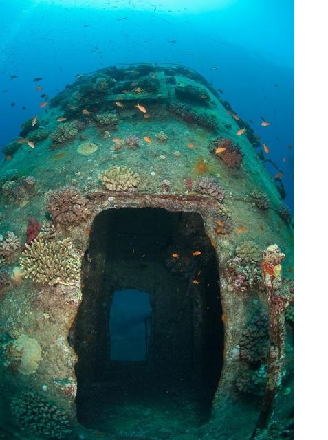 Red Sea Shipwreck Gianiss