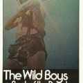 wild_boys-us-grove-1971