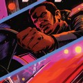 Shaft cover francavilla