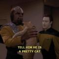 worf spot data