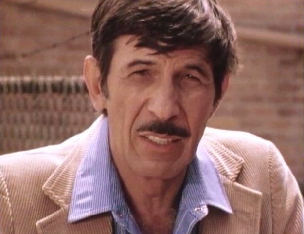 in search of nimoy mustache