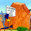 coyote roadrunner roadrunners can’t read