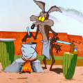 coyote roadrunner soup